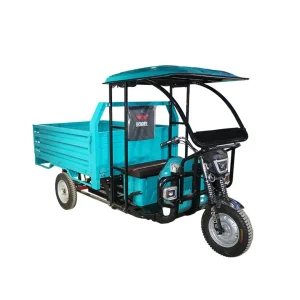 Image of Qsdev Cargo E-Rickshaw